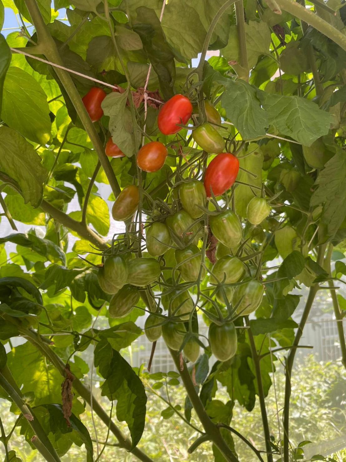 Apartamento Nantou Fruit House Renai Exterior foto